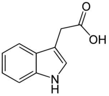 GA3-chemical-formula